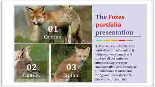 portfolio ppt samples-The Foxes portfolio presentation